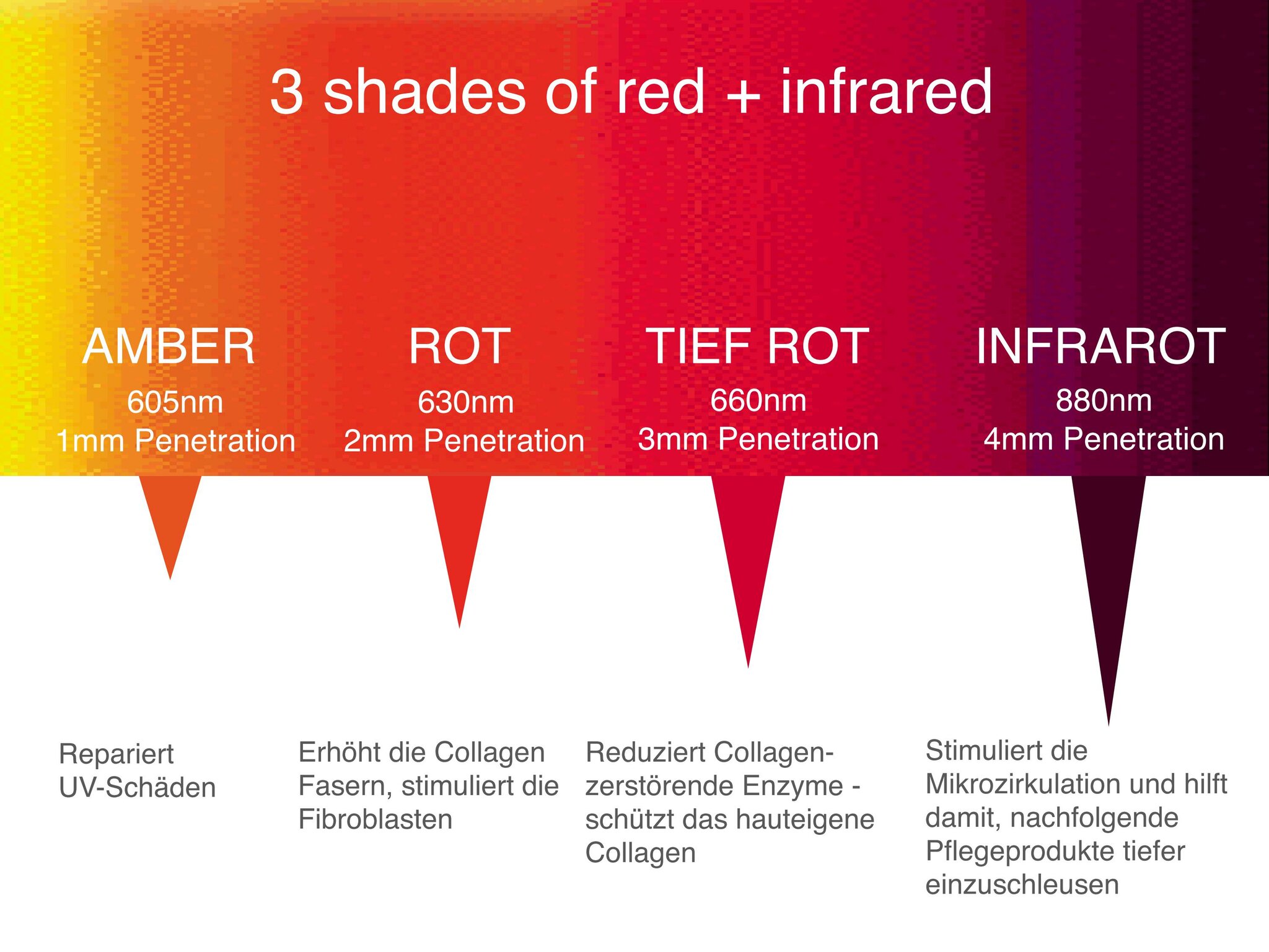 Dr Dennis Gross Spectralite kaufen bei ludwigbeck.de