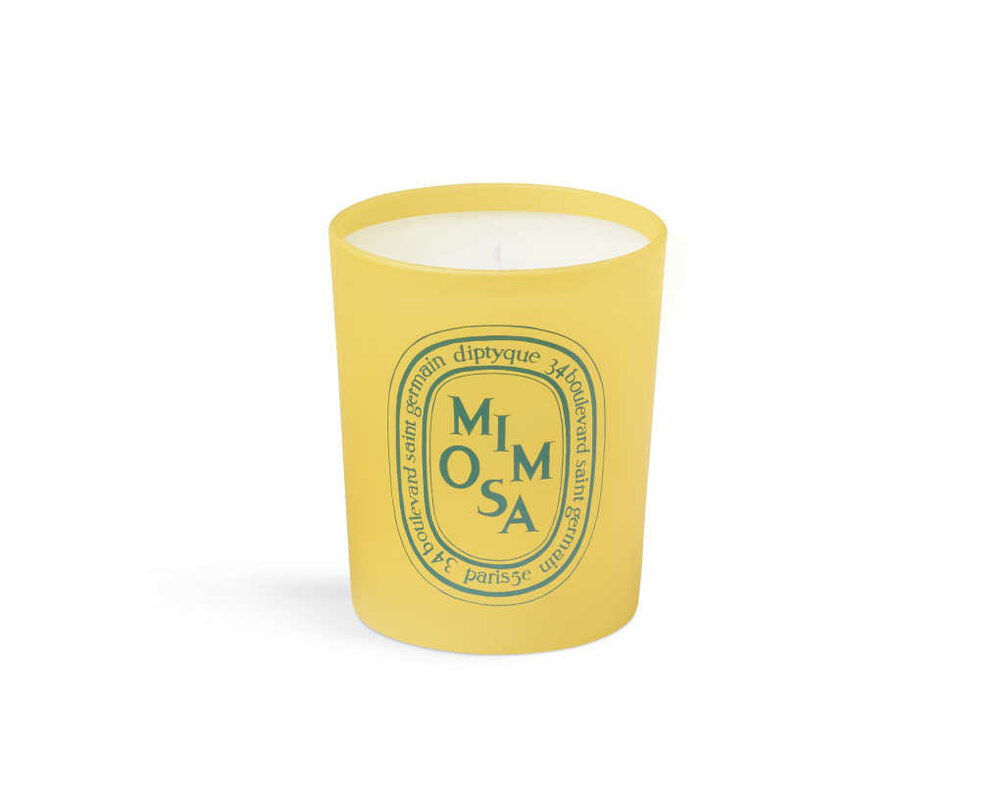 limitierte MImosa Candle von Diptyque kaufen bei ludwigbeck.de